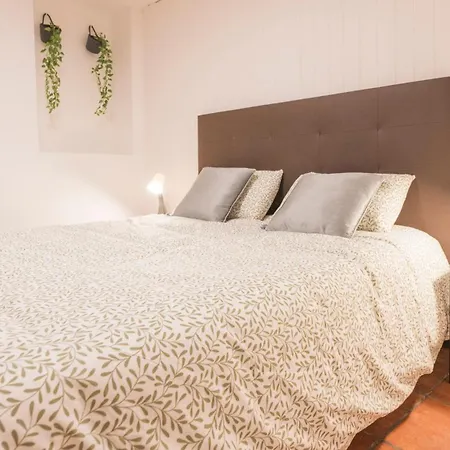 El Rincon De La Catedral